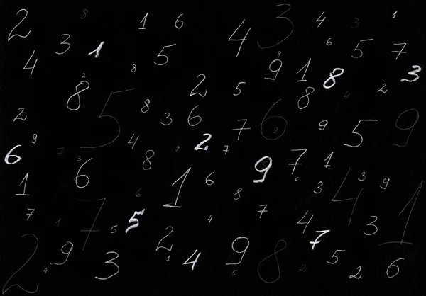 Asal Sayı Projesi Görseli